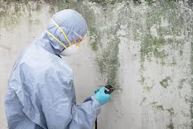 Mold Remediation for Vacation Homes in Flora, IN